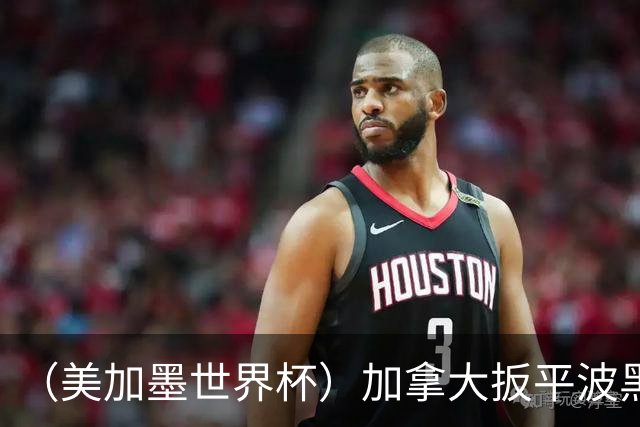（美加墨世界杯）加拿大扳平波黑 获队史世界杯首分